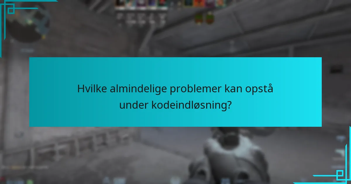 Hvilke almindelige problemer kan opstå under kodeindløsning?