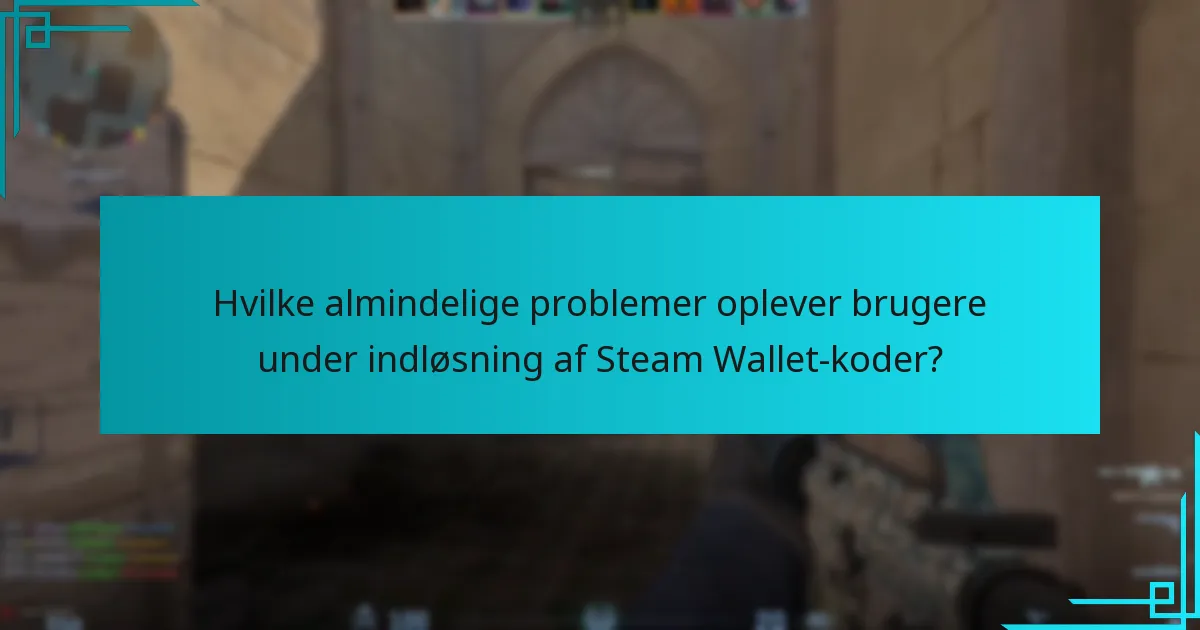 Hvilke almindelige problemer oplever brugere under indløsning af Steam Wallet-koder?