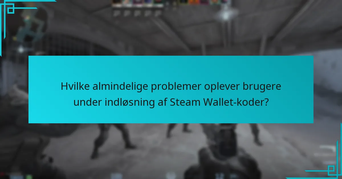 Hvilke almindelige problemer oplever brugere under indløsning af Steam Wallet-koder?