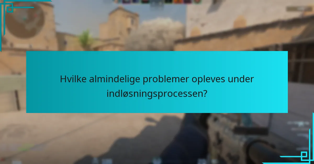 Hvilke almindelige problemer opleves under indløsningsprocessen?