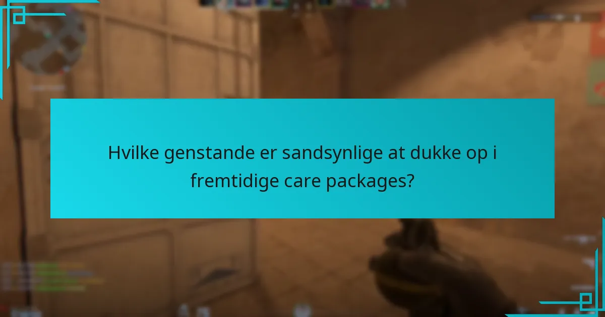 Hvilke genstande er sandsynlige at dukke op i fremtidige care packages?